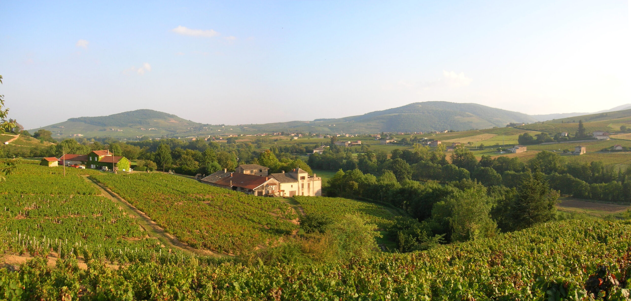 The Bucolic Beaujolais