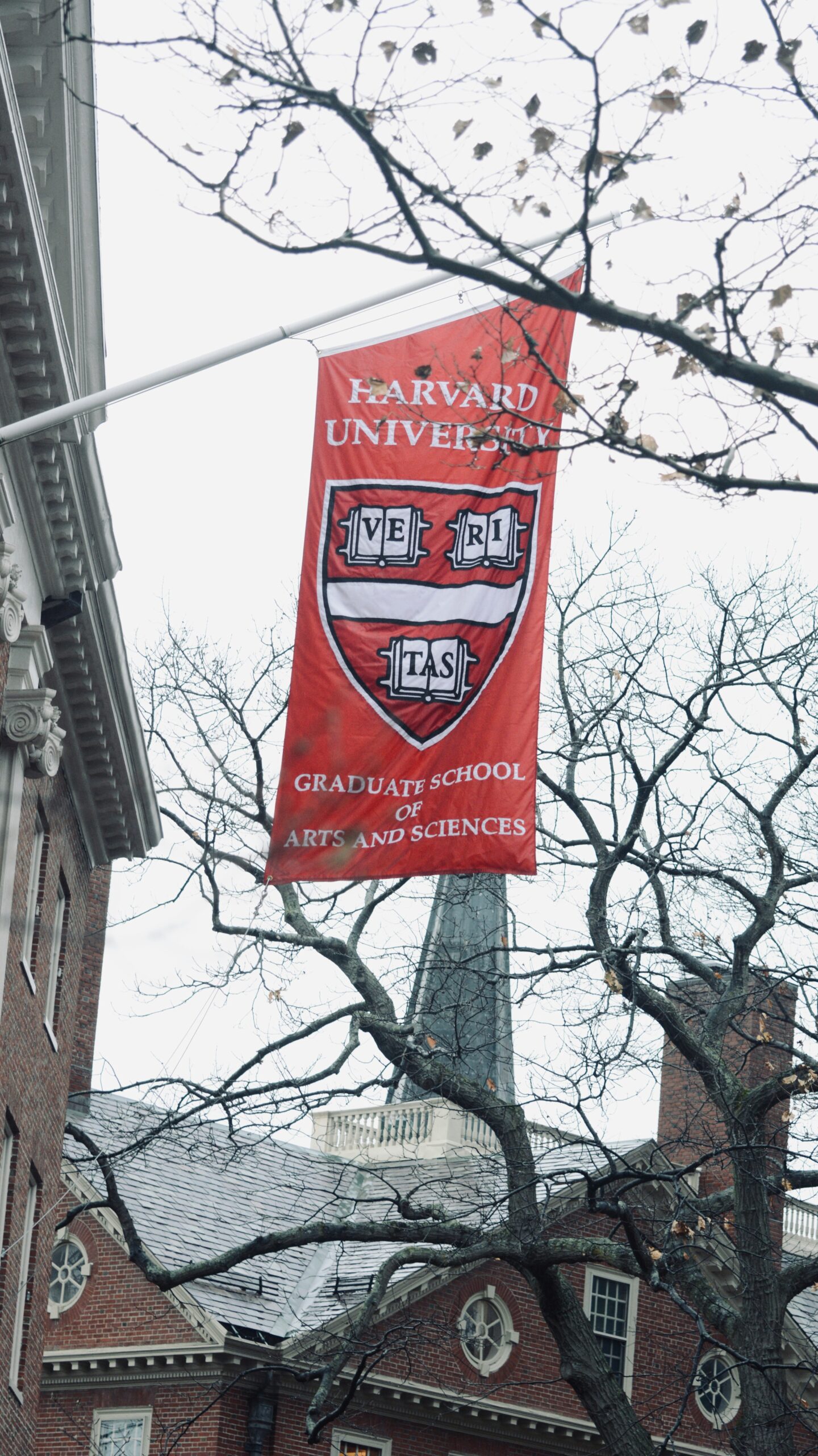 What’s Really at Stake With ‘Harvard’